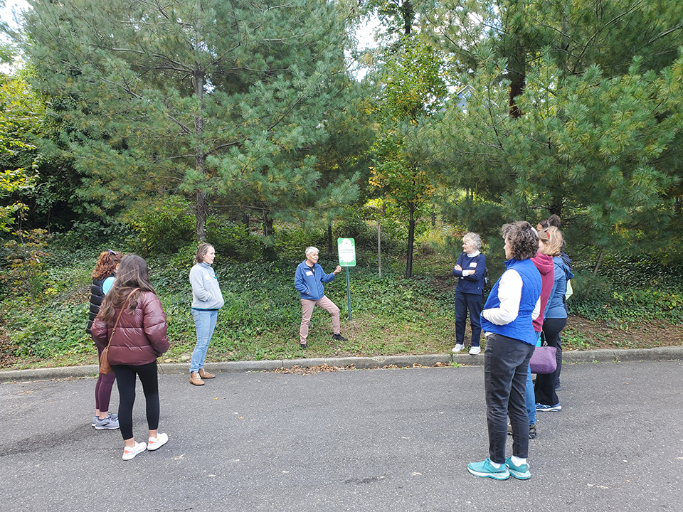 Langdon Park Forest Patch Walk in 2022