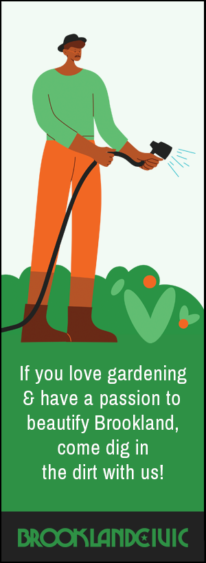 If you love gardening and have a passion to beautify Brookland, come dig in the dirt with us!